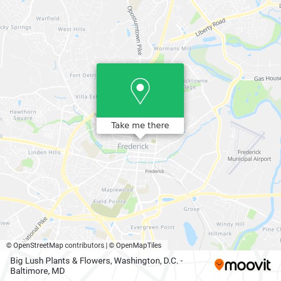 Big Lush Plants & Flowers map