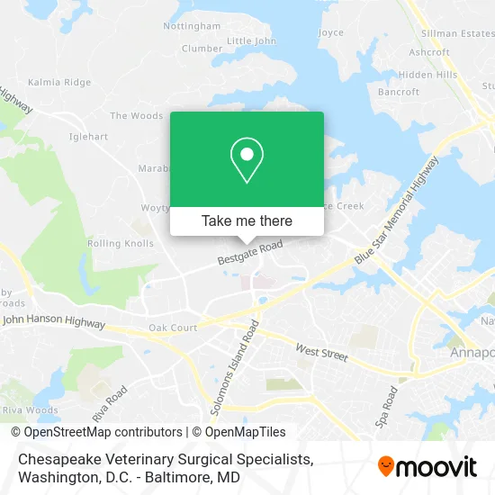 Chesapeake Veterinary Surgical Specialists map