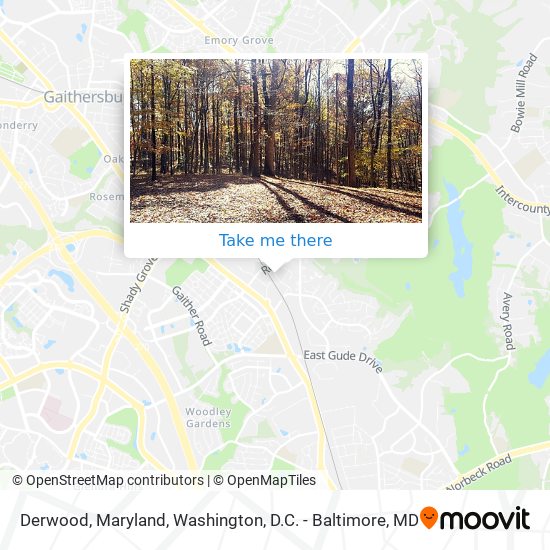 Derwood, Maryland map