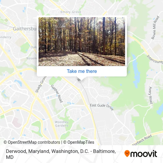 Derwood, Maryland map