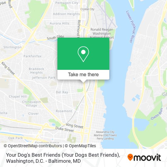 Mapa de Your Dog's Best Friends (Your Dogs Best Friends)