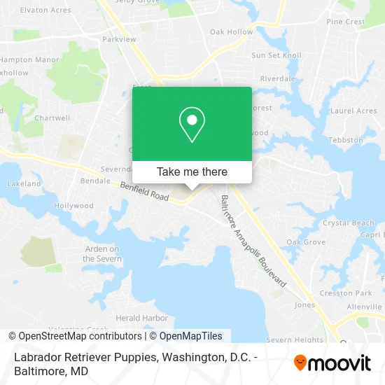 Labrador Retriever Puppies map