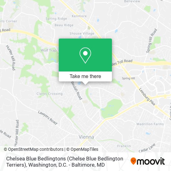 Mapa de Chelsea Blue Bedlingtons (Chelse Blue Bedlington Terriers)