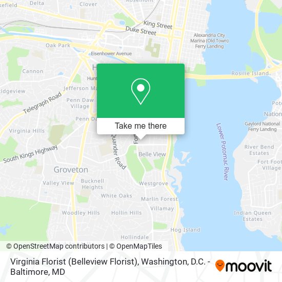 Virginia Florist (Belleview Florist) map