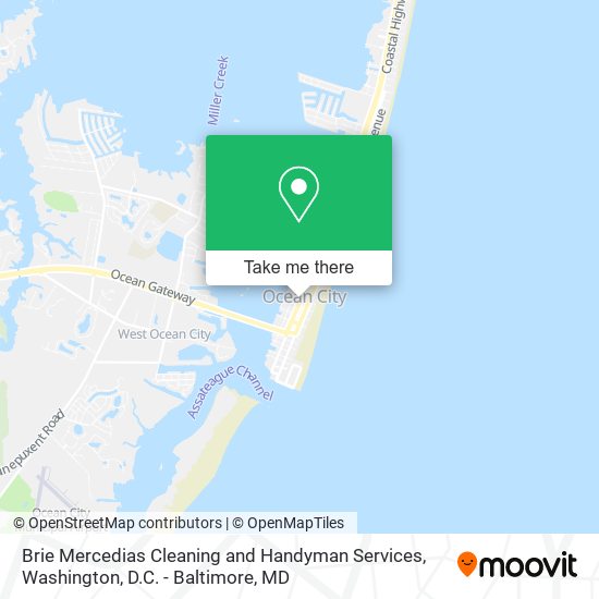Brie Mercedias Cleaning and Handyman Services map