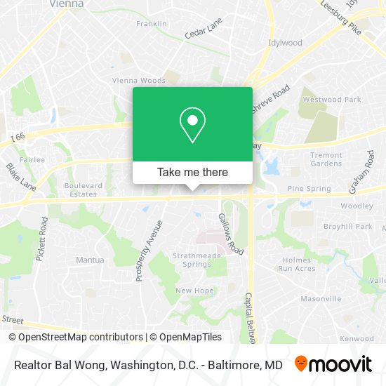 Realtor Bal Wong map