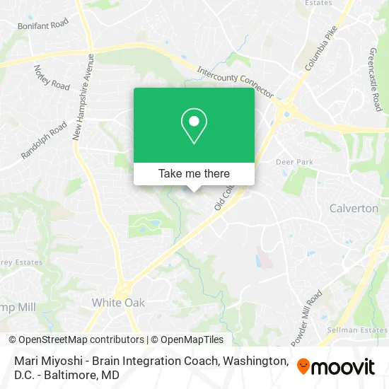 Mari Miyoshi - Brain Integration Coach map