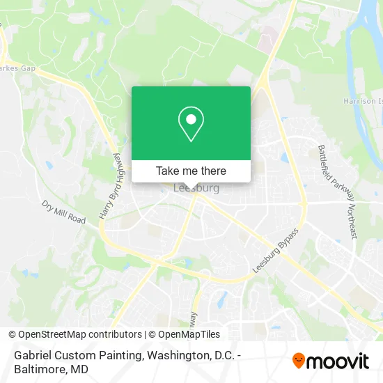 Gabriel Custom Painting map