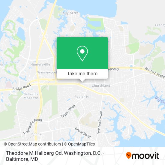 Theodore M Hallberg Od map