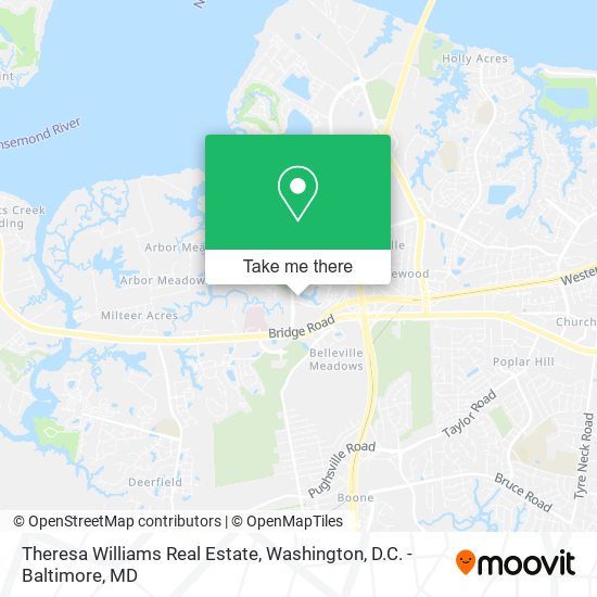 Theresa Williams Real Estate map