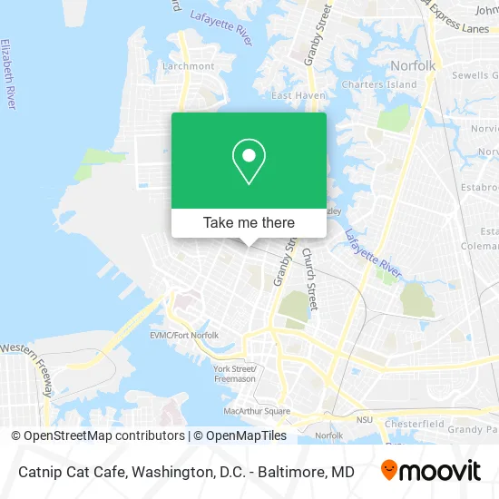 Catnip Cat Cafe map