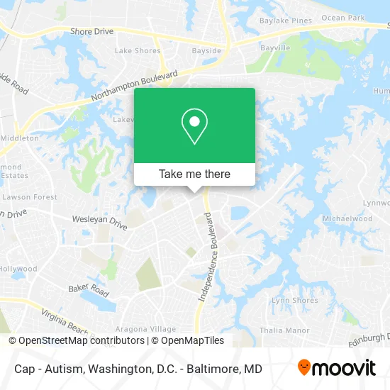 Cap - Autism map