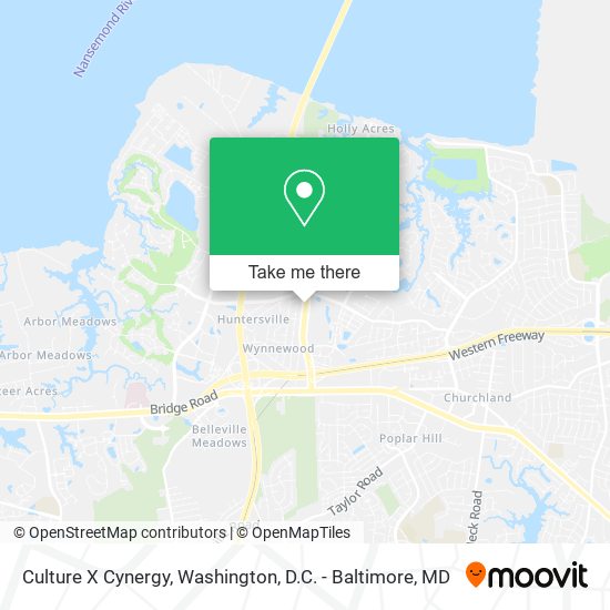 Culture X Cynergy map