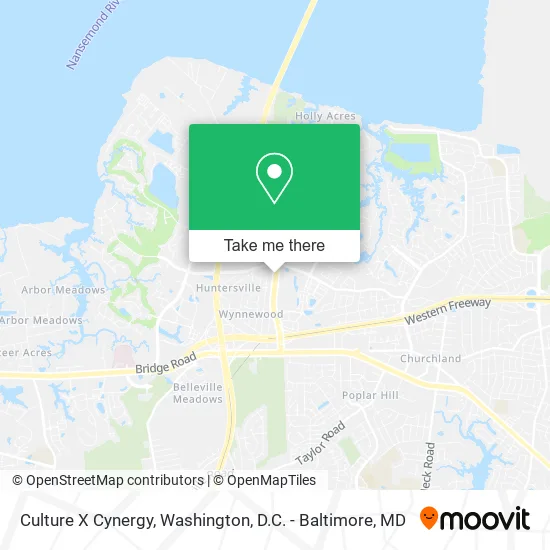 Culture X Cynergy map