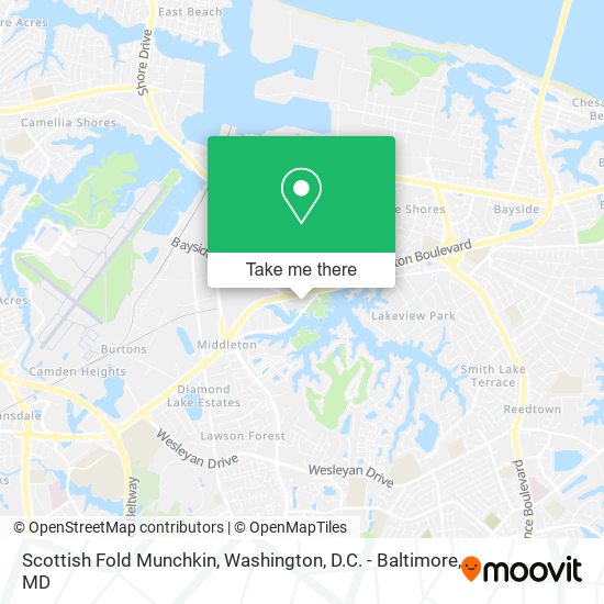 Scottish Fold Munchkin map