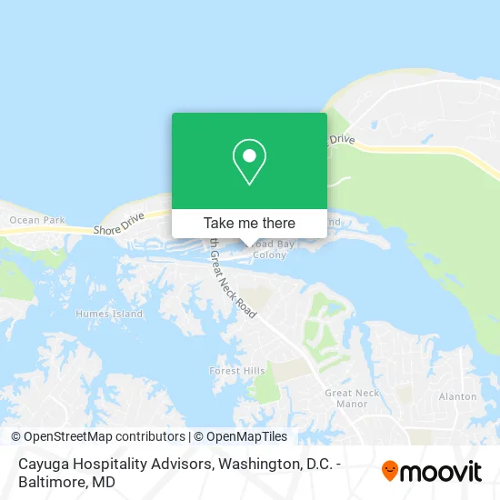 Mapa de Cayuga Hospitality Advisors