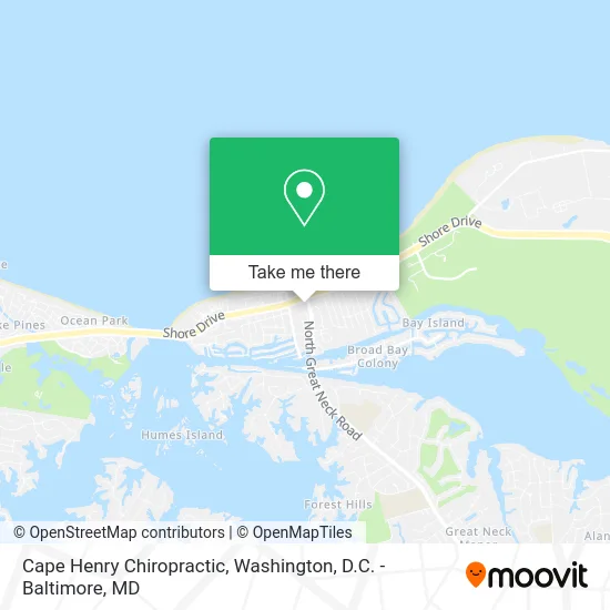 Cape Henry Chiropractic map