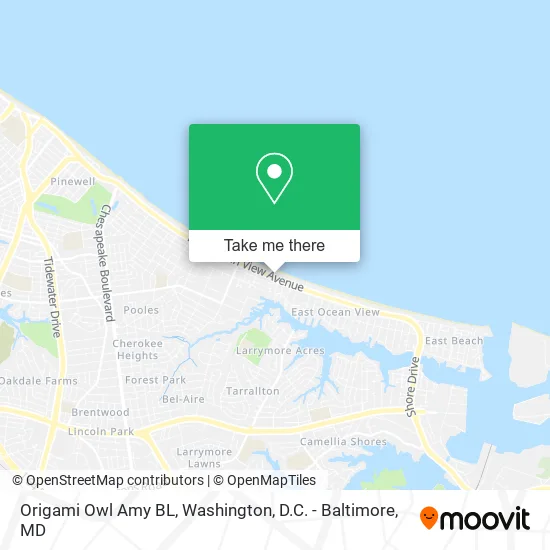 Origami Owl Amy BL map