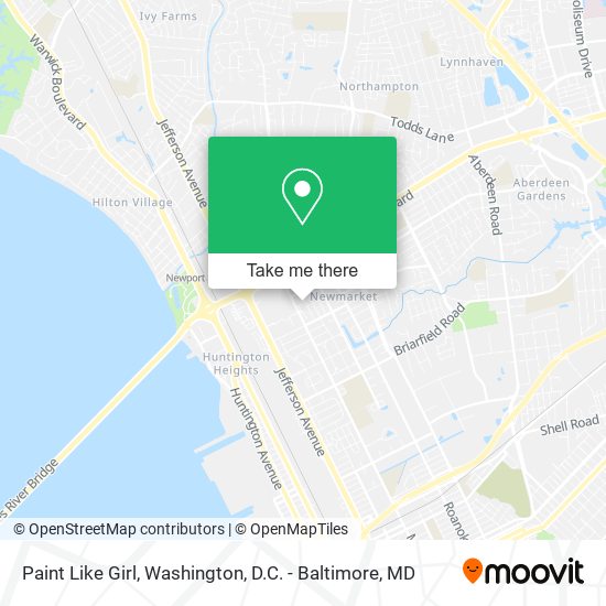 Paint Like Girl map