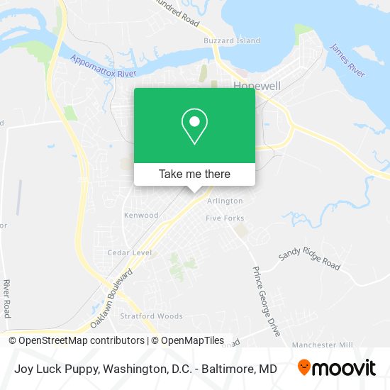 Joy Luck Puppy map