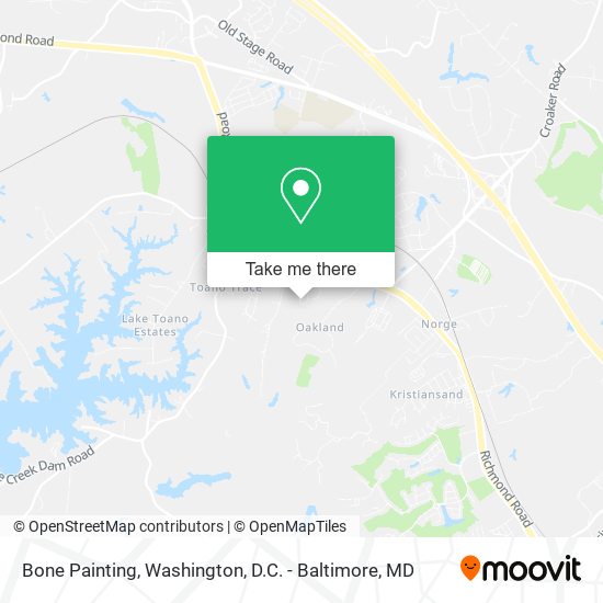 Bone Painting map