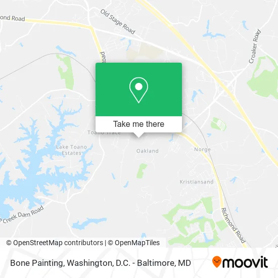 Bone Painting map