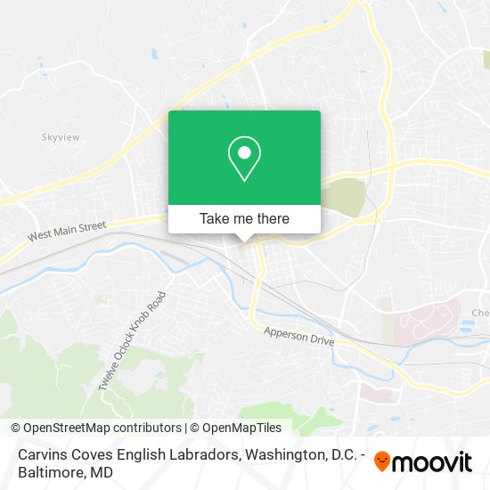 Carvins Coves English Labradors map