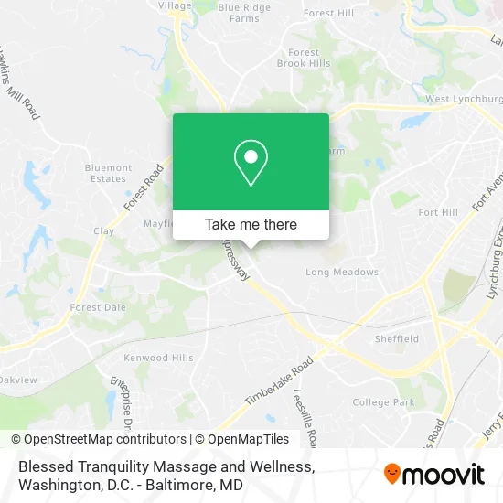 Blessed Tranquility Massage and Wellness map