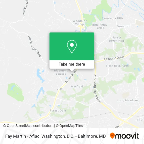 Fay Martin - Aflac map