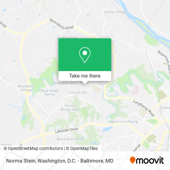 Norma Stein map