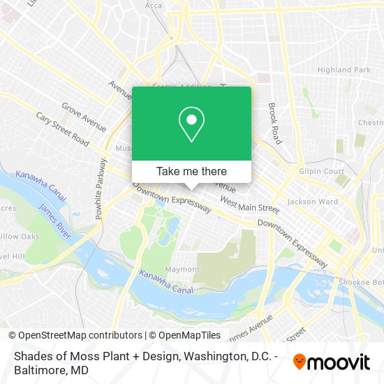 Shades of Moss Plant + Design map