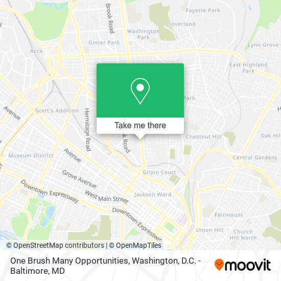 Mapa de One Brush Many Opportunities