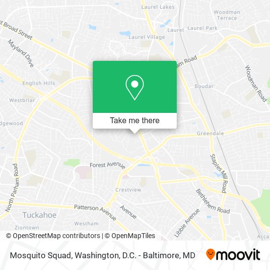 Mapa de Mosquito Squad