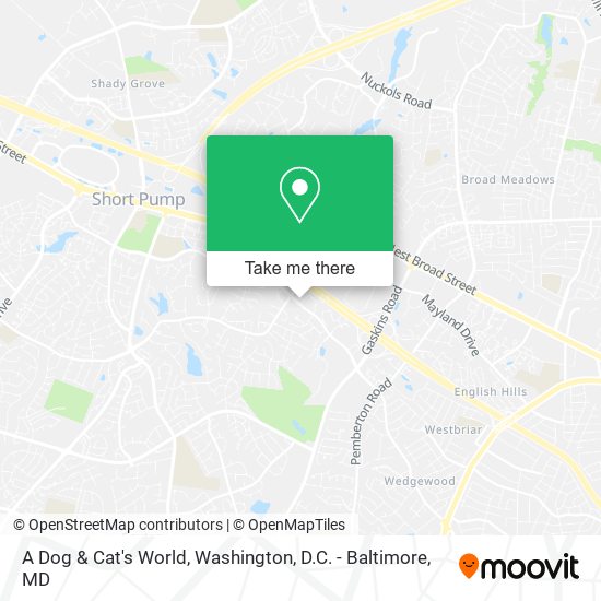 Mapa de A Dog & Cat's World