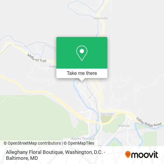 Alleghany Floral Boutique map