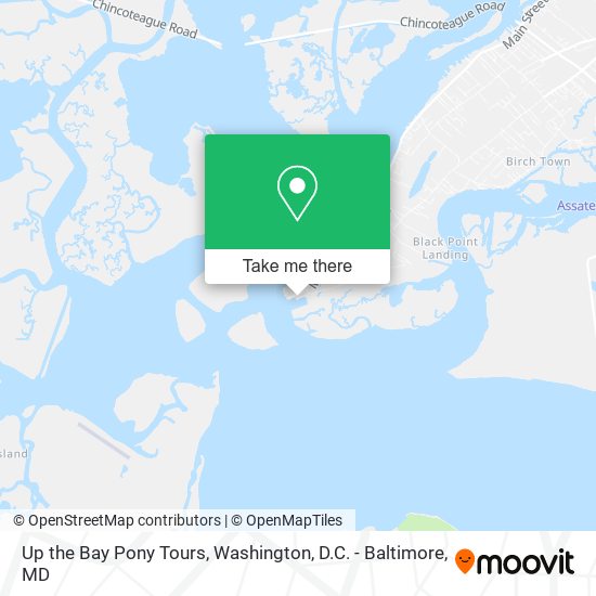 Up the Bay Pony Tours map