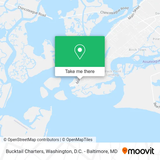 Bucktail Charters map