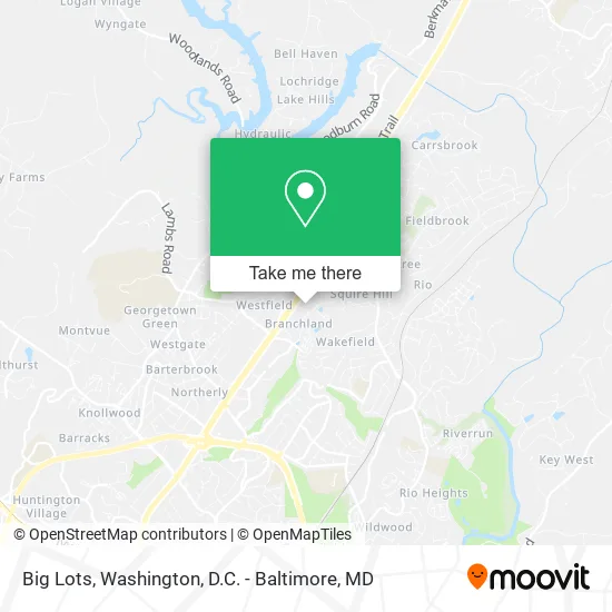 Big Lots map