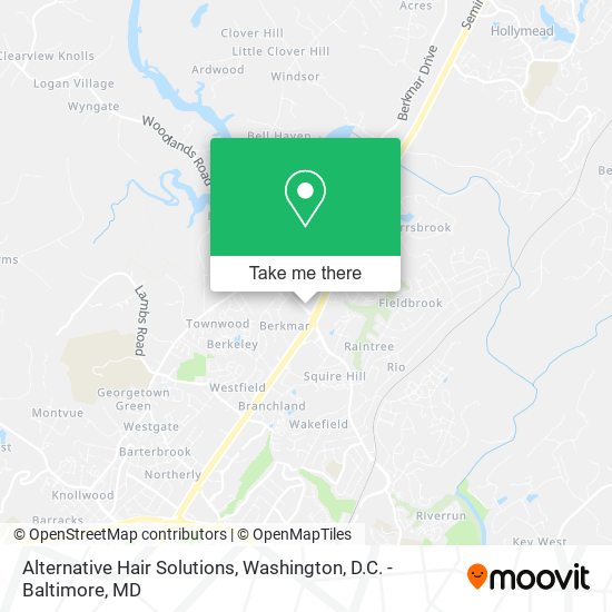 Mapa de Alternative Hair Solutions