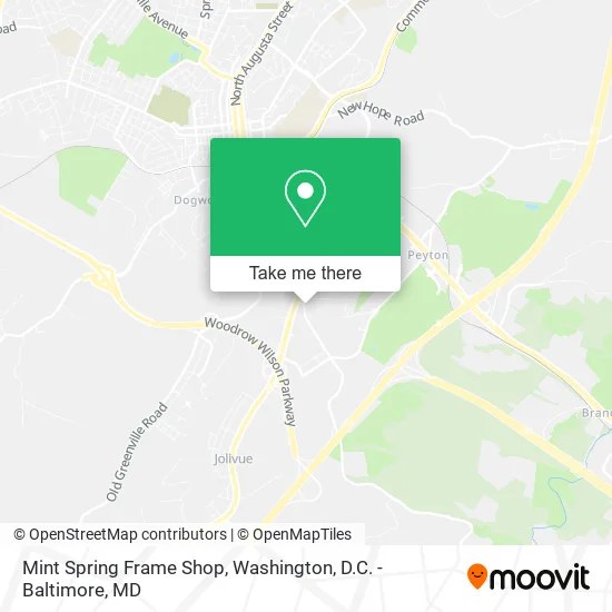 Mint Spring Frame Shop map