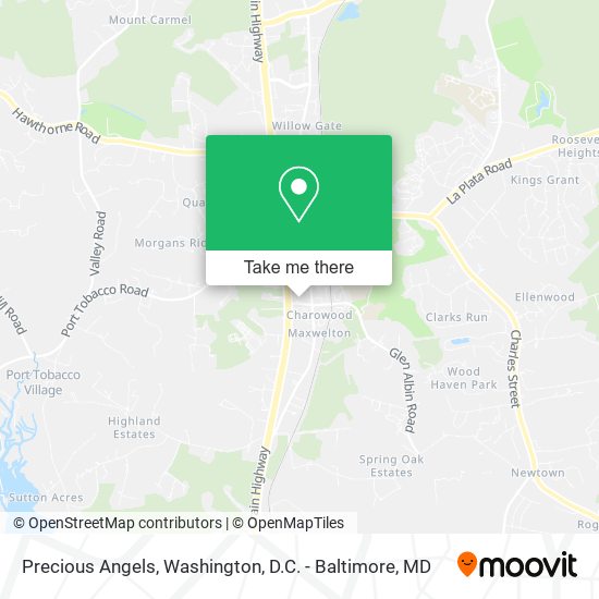 Precious Angels map