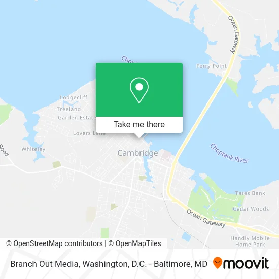 Branch Out Media map