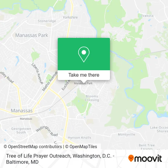 Tree of Life Prayer Outreach map