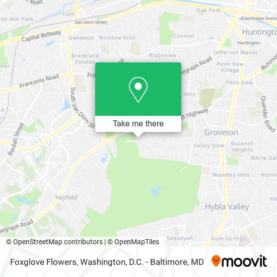 Foxglove Flowers map