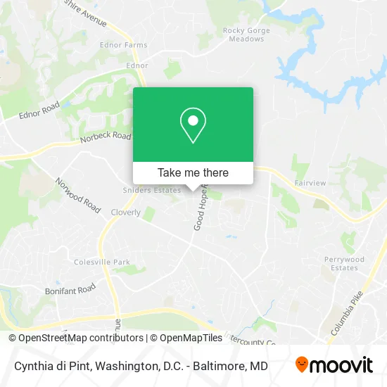 Cynthia di Pint map