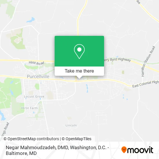 Negar Mahmoudzadeh, DMD map