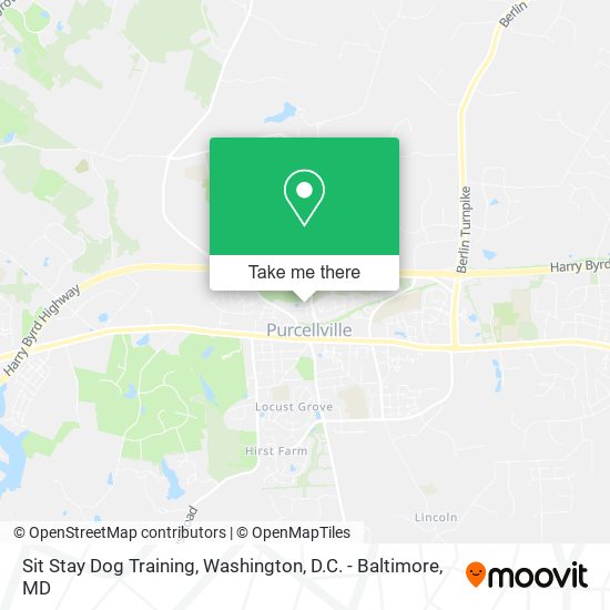 Mapa de Sit Stay Dog Training