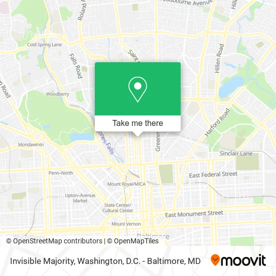 Mapa de Invisible Majority