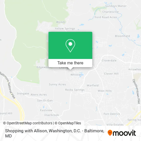 Shopping with Allison map