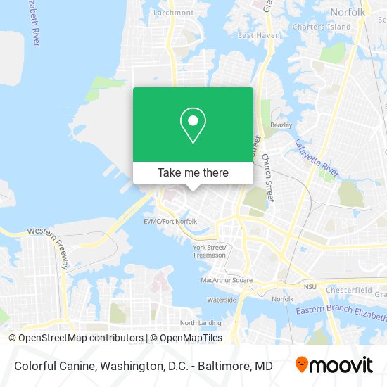 Mapa de Colorful Canine